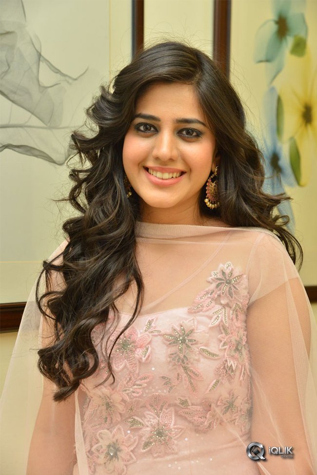 Simran-Pareenja-New-Photos